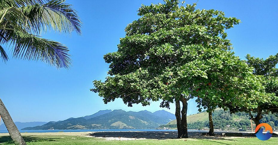 Praia do Saco